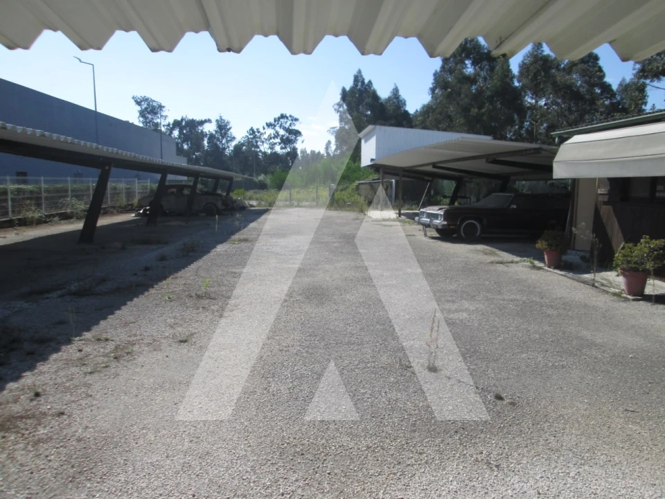 Terreno para Venda em Vagos e Santo António Foto 5
