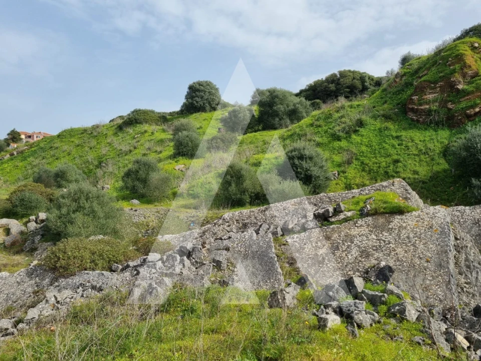 Terreno para Venda em Sesimbra (Castelo) Foto 14
