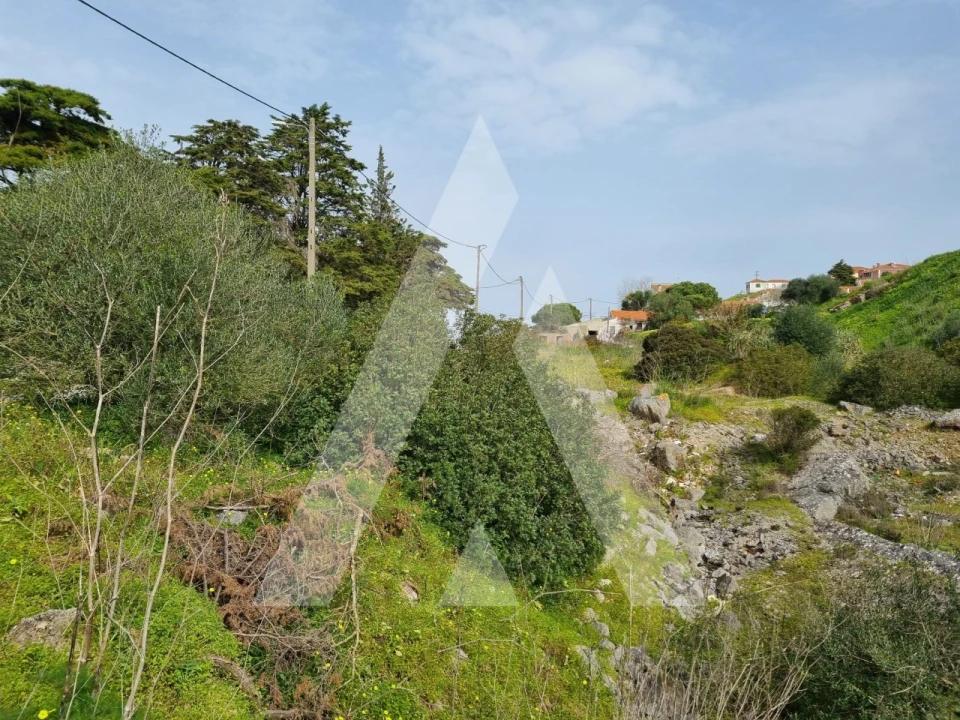Terreno para Venda em Sesimbra (Castelo) Foto 16