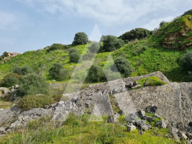Terreno para Venda em Sesimbra (Castelo) Foto 14