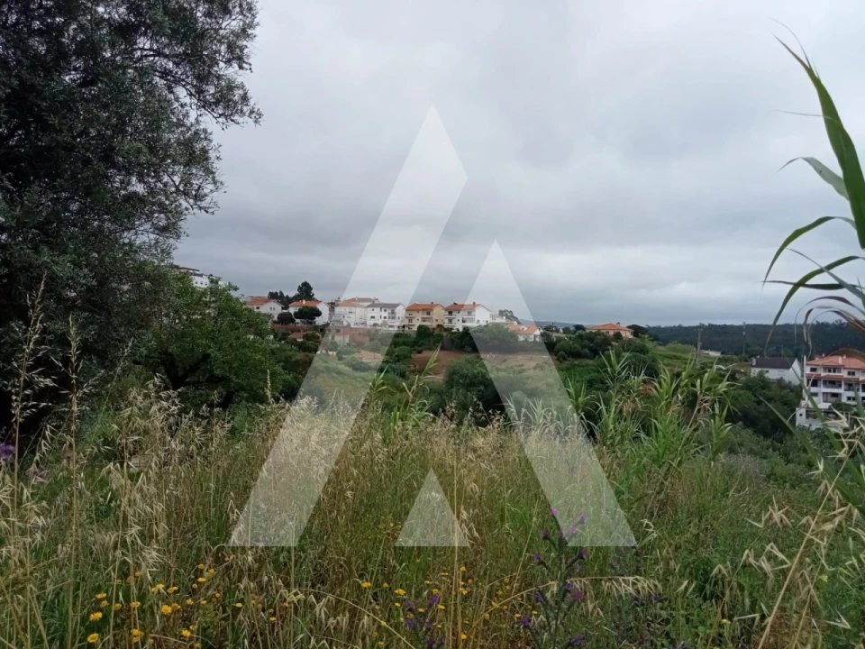 Terreno para Venda em Leiria, Pousos, Barreira e Cortes Foto 4