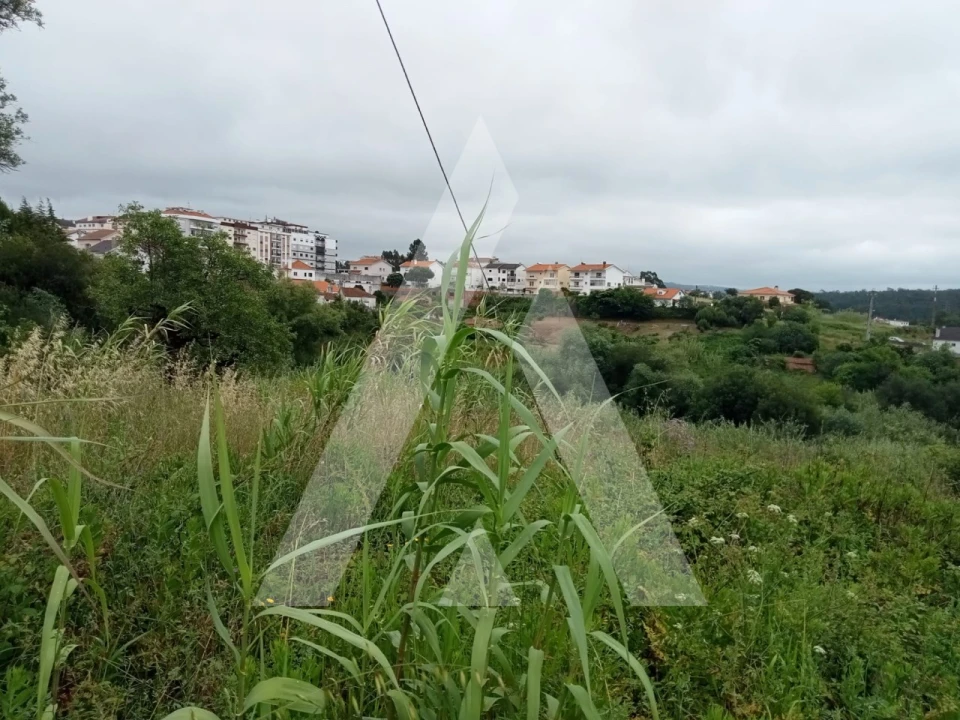 Terreno para Venda em Leiria, Pousos, Barreira e Cortes Foto 5