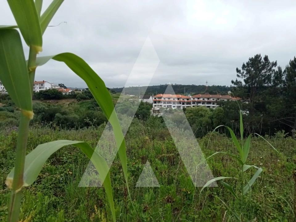 Terreno para Venda em Leiria, Pousos, Barreira e Cortes Foto 15