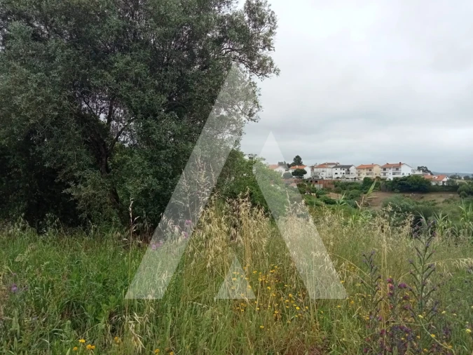 Terreno para Venda em Leiria, Pousos, Barreira e Cortes Foto 2