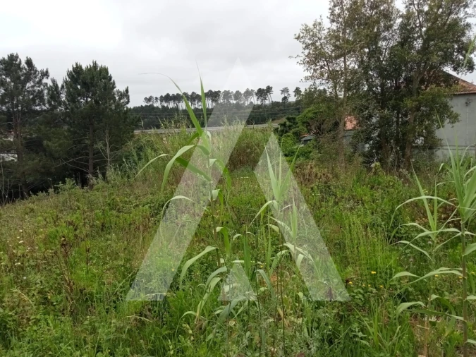 Terreno para Venda em Leiria, Pousos, Barreira e Cortes Foto 9