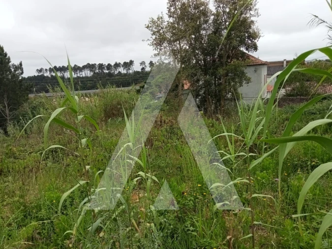 Terreno para Venda em Leiria, Pousos, Barreira e Cortes Foto 11