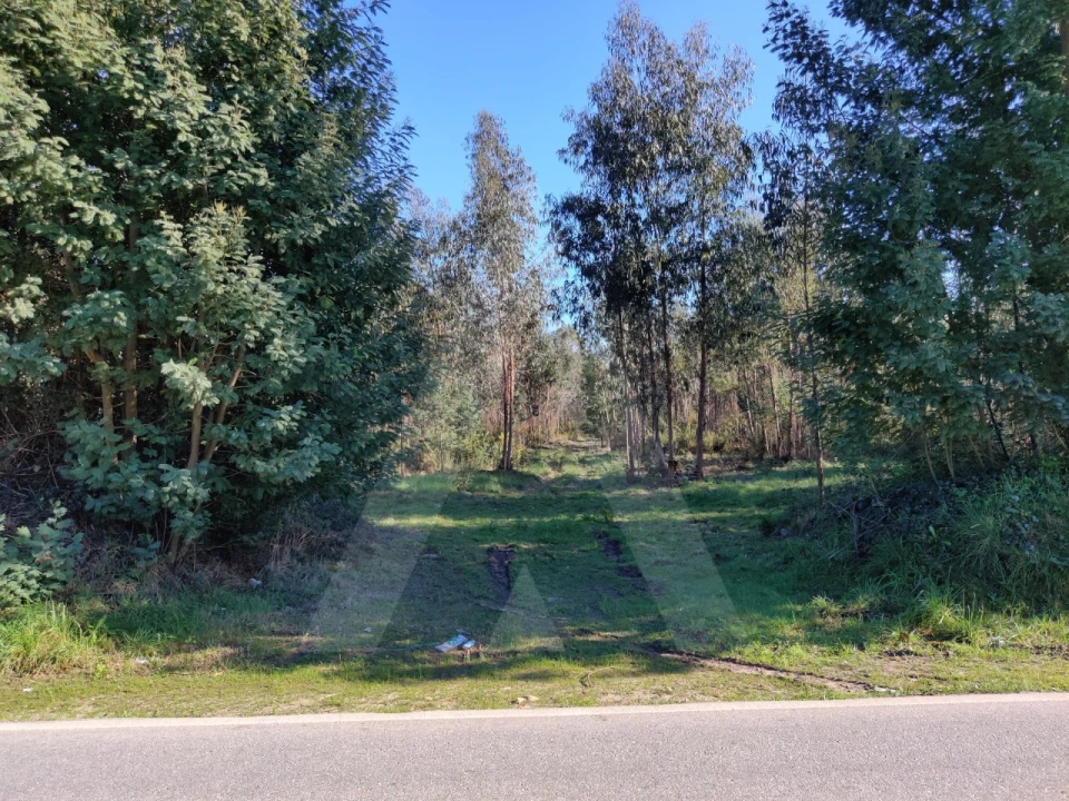 Terreno para Venda em Alquerubim Foto 7