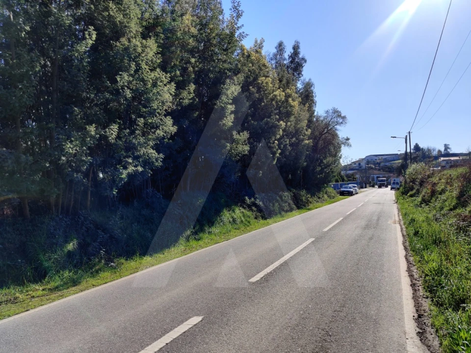 Terreno para Venda em Alquerubim Foto 8