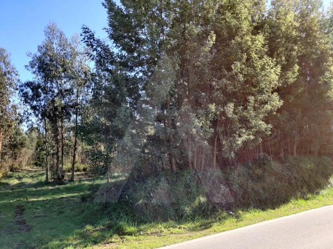Terreno para Venda em Alquerubim Foto 5