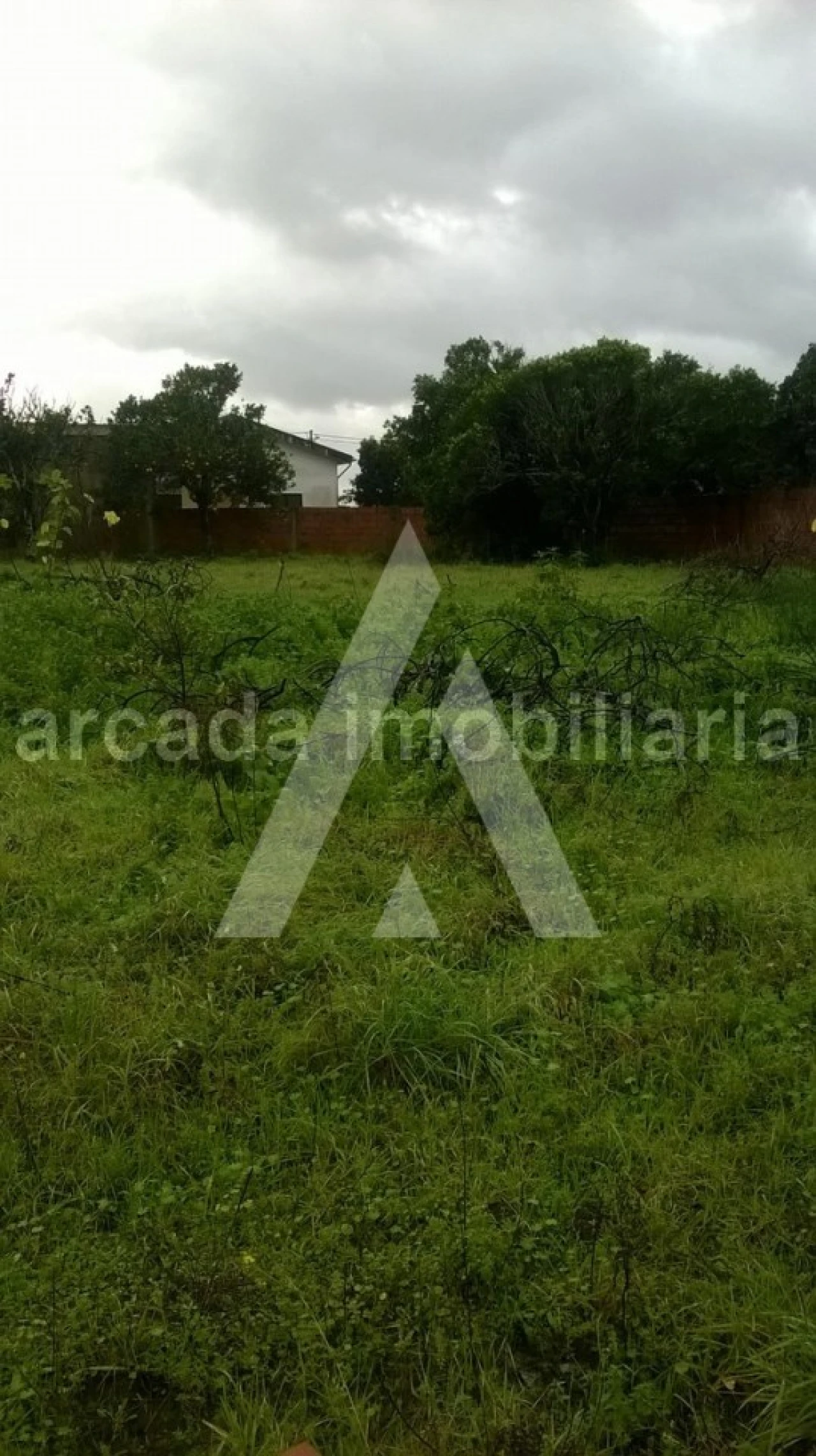 Terreno para Venda em Vagos e Santo António Foto 3