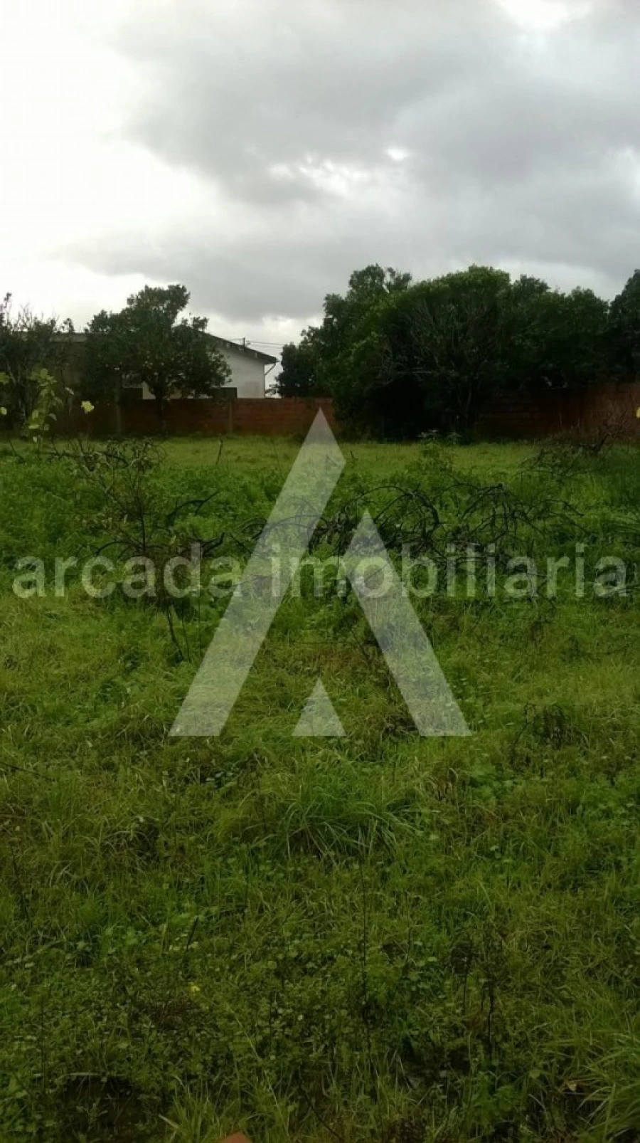Terreno para Venda em Vagos e Santo António Foto 3