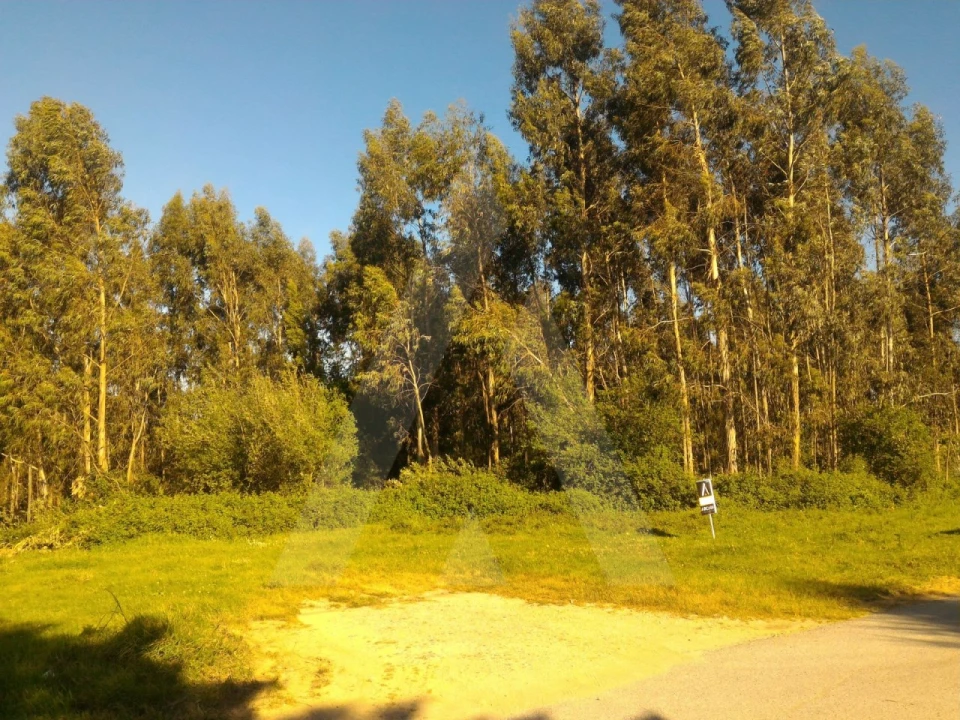 Terreno para Venda em Angeja Foto 1
