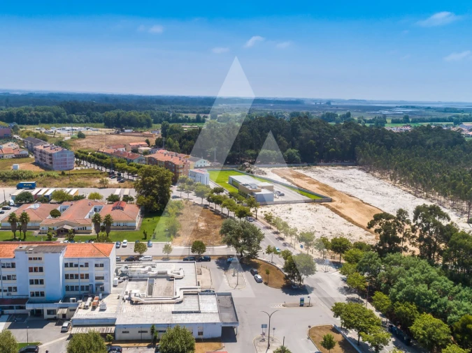 Terreno para Venda em Ovar, São João, Arada e São Vicente de Pereira Jusã Foto 3