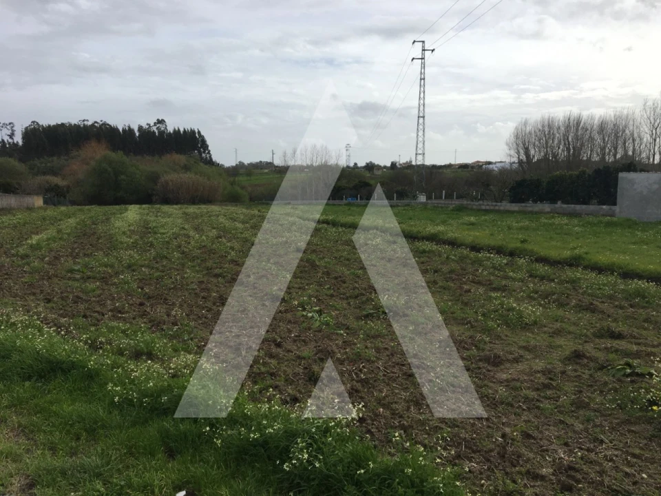 Terreno para Venda em Oliveirinha Foto 1