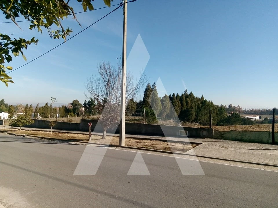 Terreno para Venda em Requeixo, Nossa Senhora de Fátima e Nariz Foto 3
