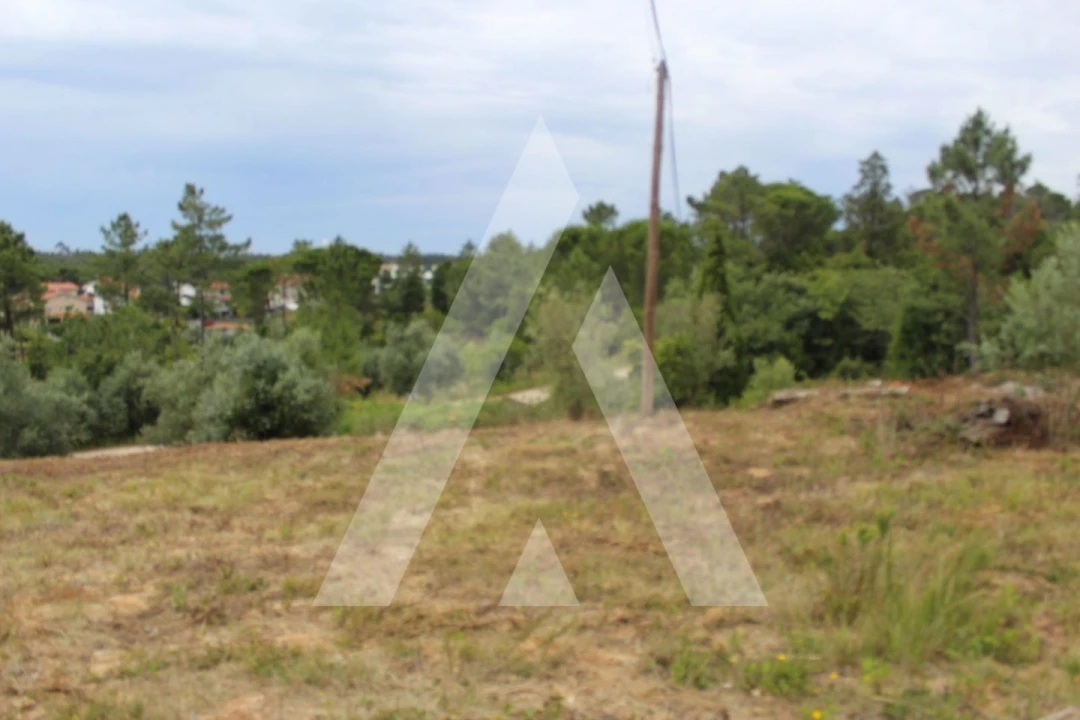 Terreno para Venda em Assafarge e Antanhol Foto 9