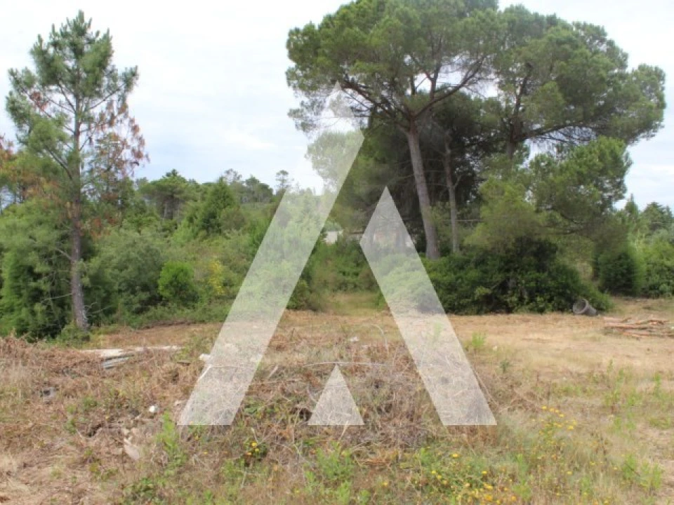 Terreno para Venda em Assafarge e Antanhol Foto 14