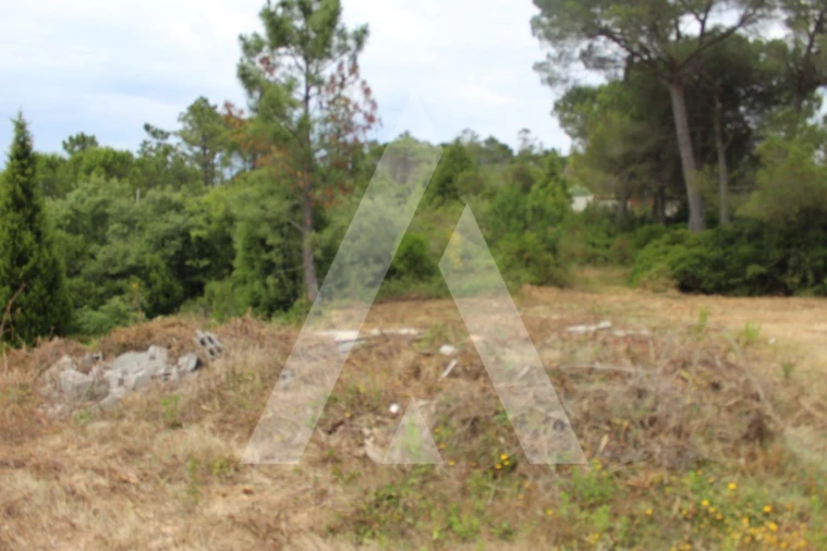 Terreno para Venda em Assafarge e Antanhol Foto 1