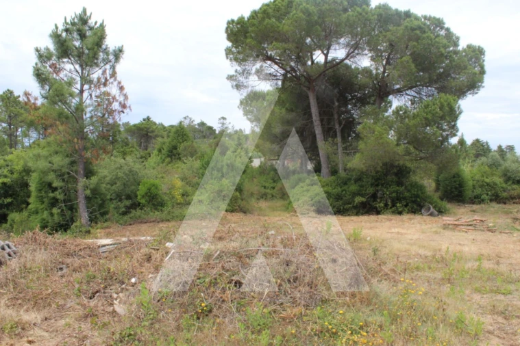 Terreno para Venda em Assafarge e Antanhol Foto 7