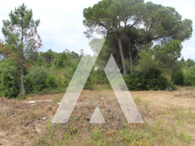 Terreno para Venda em Assafarge e Antanhol Foto 14