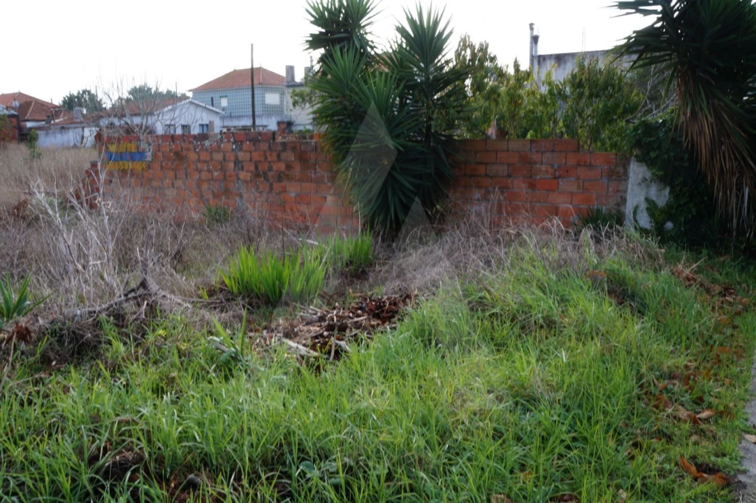 Terreno para Venda em Gafanha da Nazaré Foto 1