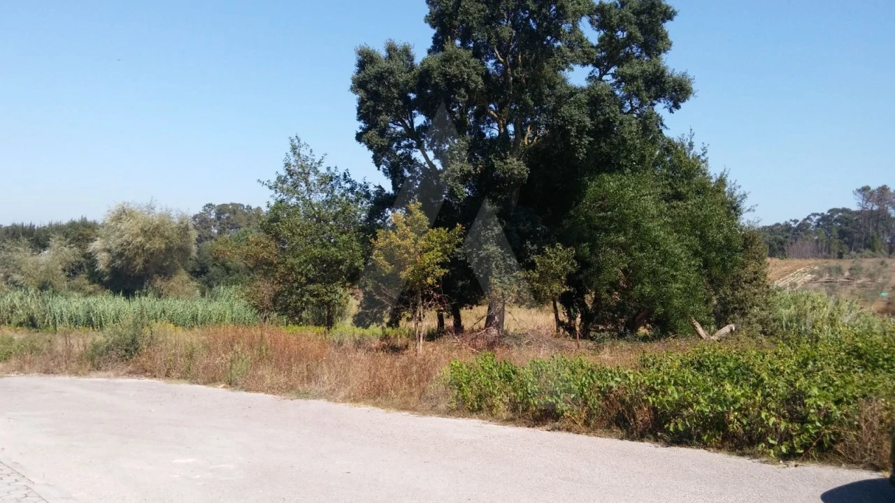 Terreno para Venda em Oiã Foto 5