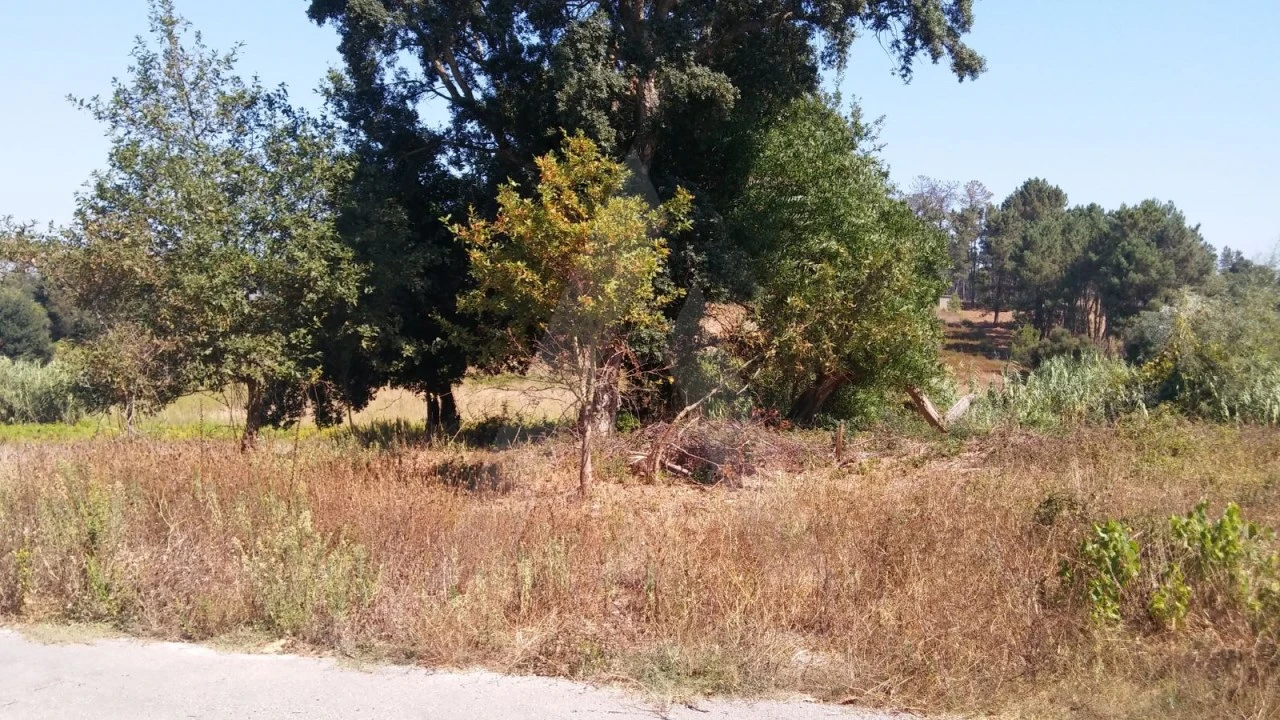 Terreno para Venda em Oiã Foto 6
