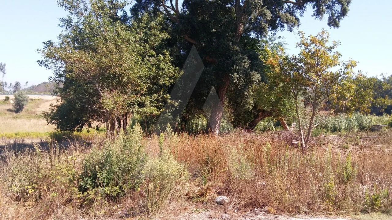 Terreno para Venda em Oiã Foto 8