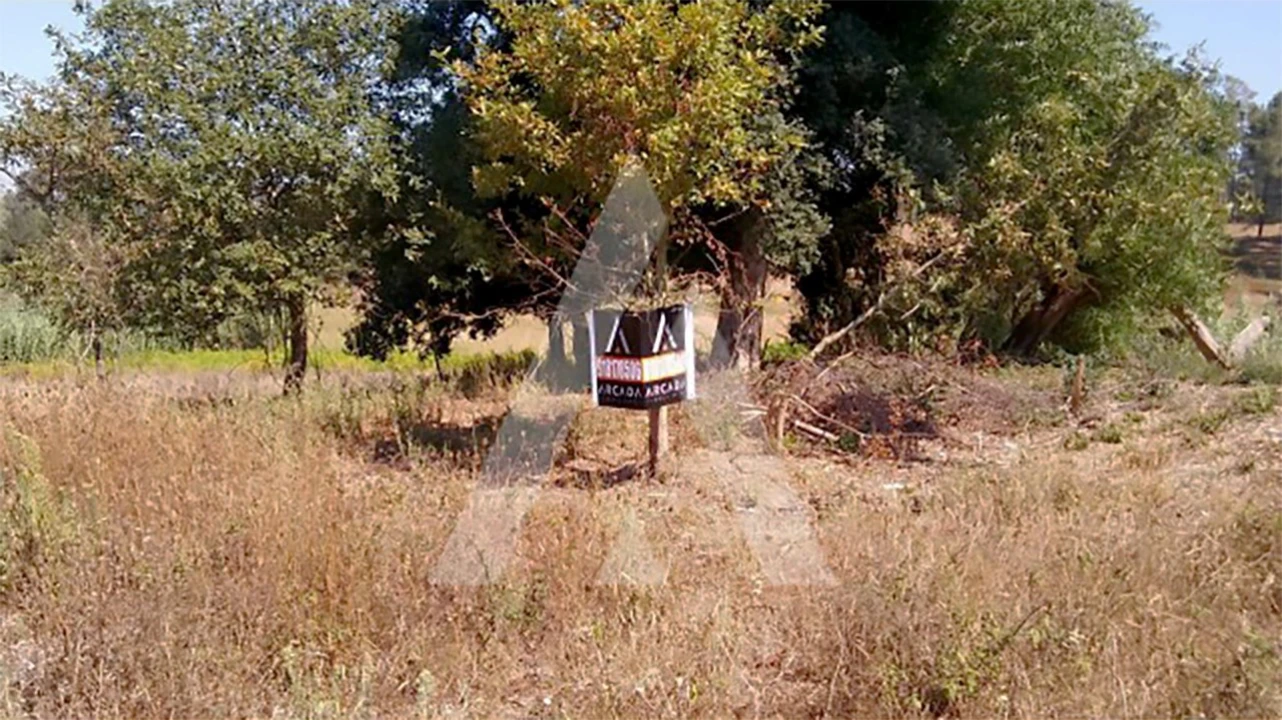 Terreno para Venda em Oiã Foto 3