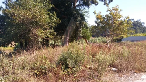 Terreno para Venda em Oiã