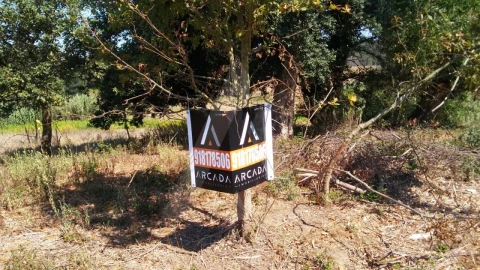 Terreno para Venda em Oiã