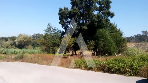 Terreno para Venda em Oiã
