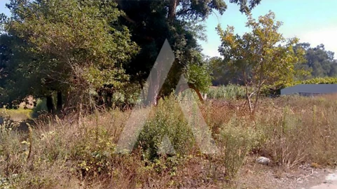 Terreno para Venda em Oiã