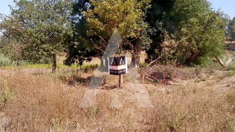Terreno para Venda em Oiã