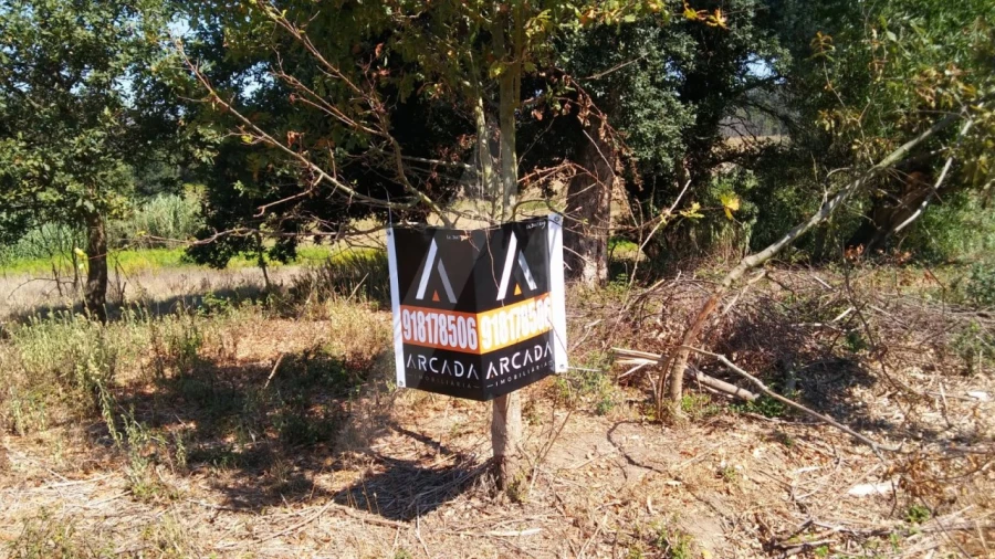 Terreno para Venda em Oiã Foto 9