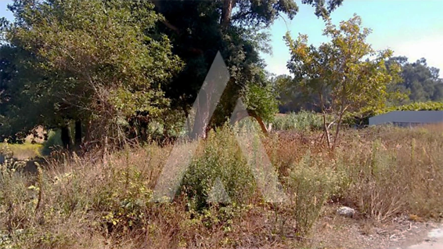 Terreno para Venda em Oiã Foto 2