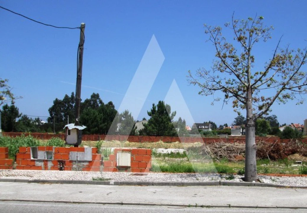 Terreno para Venda em Vagos e Santo António Foto 2