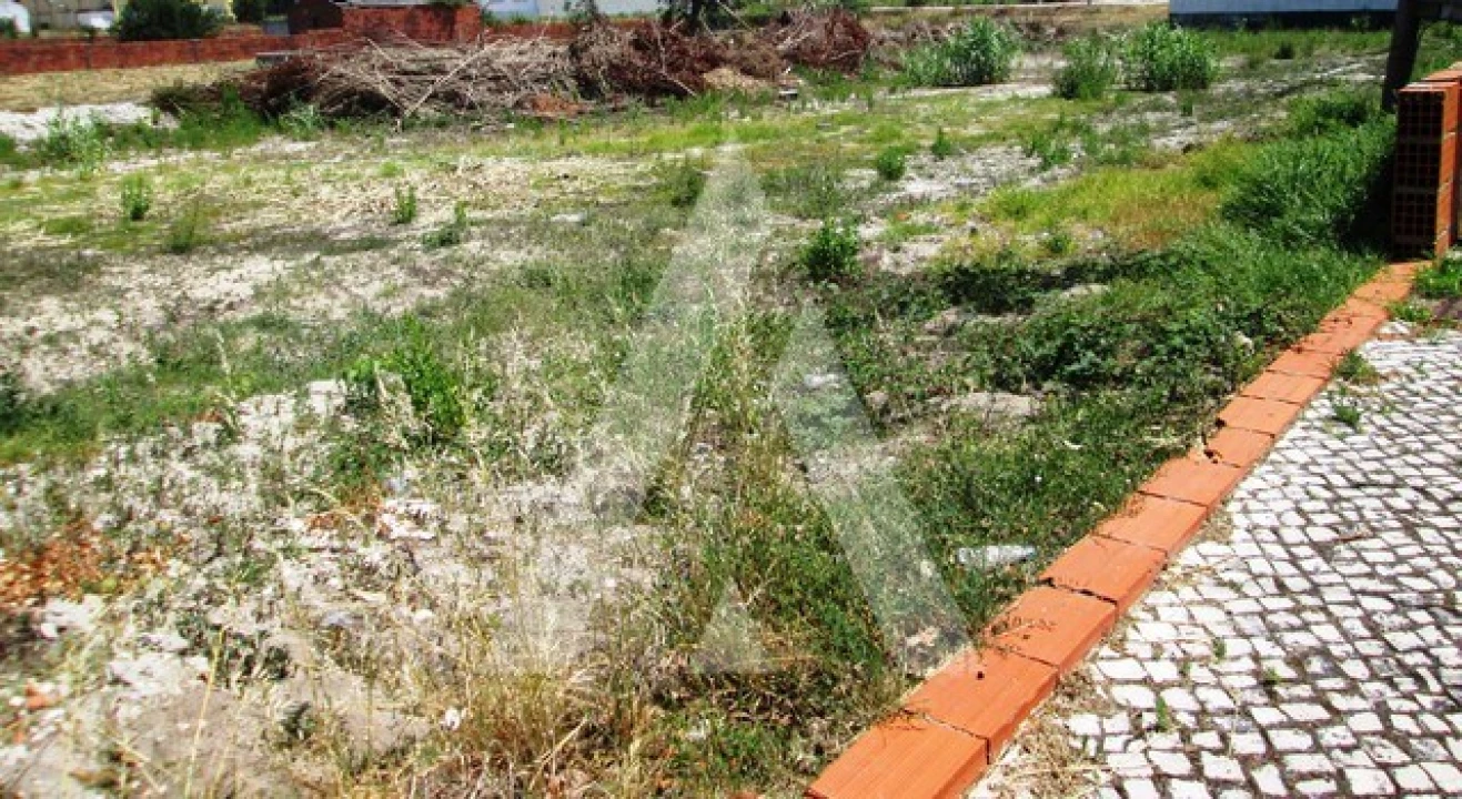 Terreno para Venda em Vagos e Santo António Foto 6