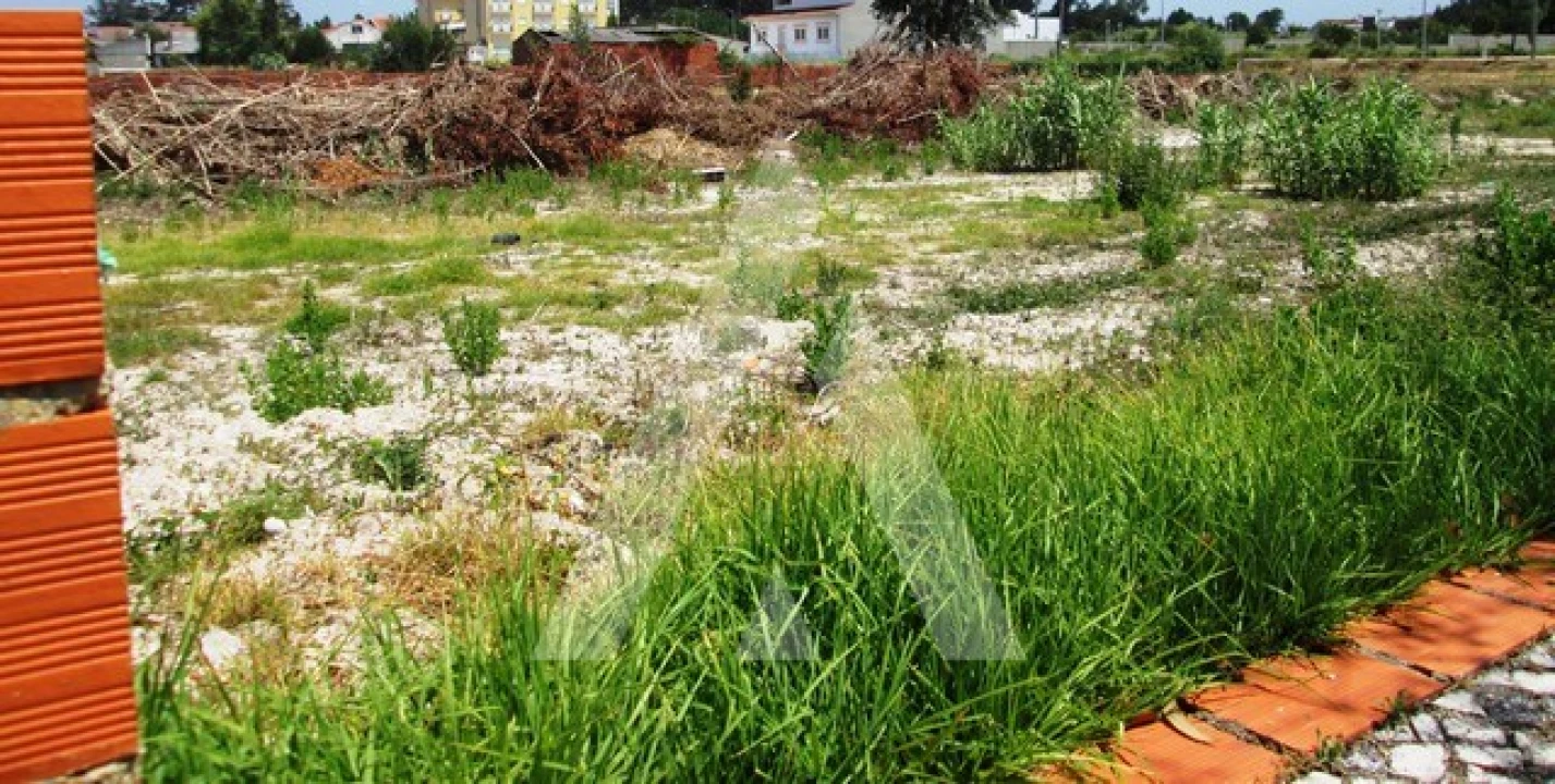 Terreno para Venda em Vagos e Santo António Foto 8