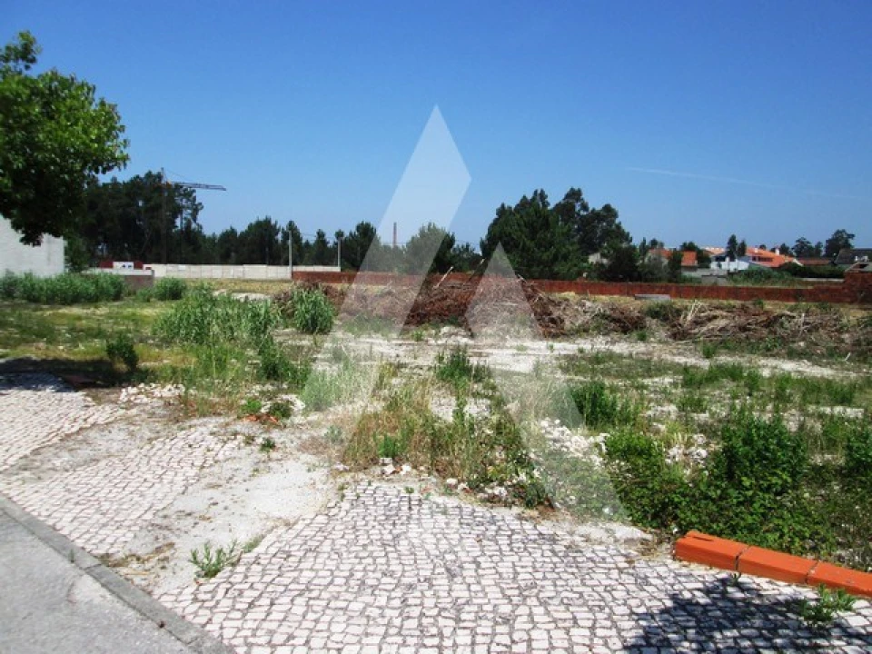Terreno para Venda em Vagos e Santo António Foto 1