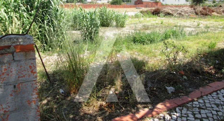 Terreno para Venda em Vagos e Santo António Foto 4