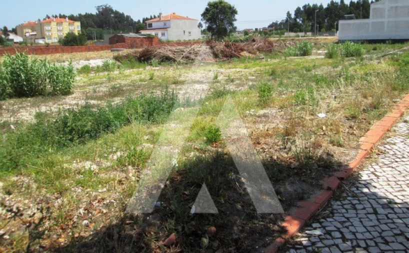 Terreno para Venda em Vagos e Santo António Foto 5