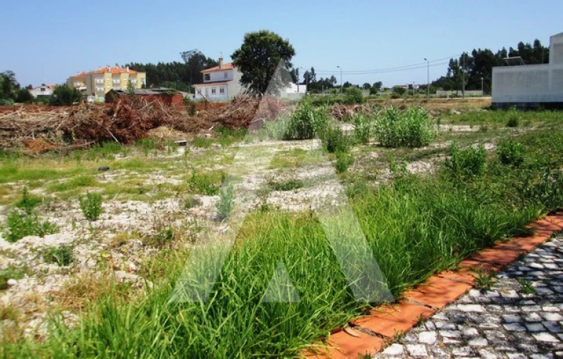 Terreno para Venda em Vagos e Santo António Foto 9