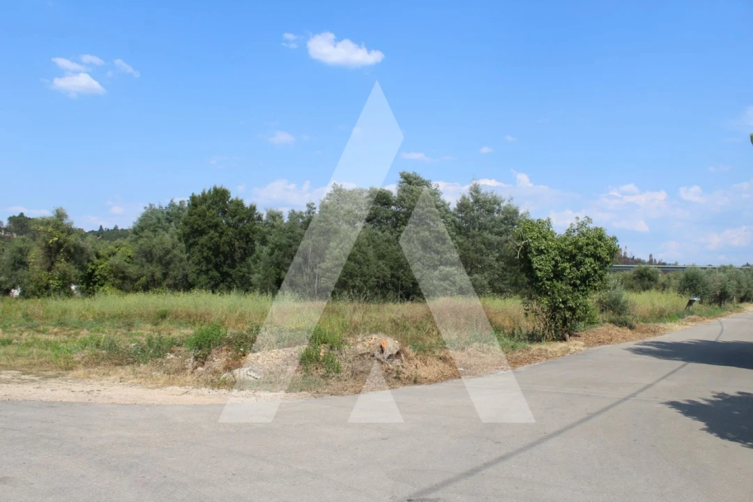 Terreno para Venda em Lousã e Vilarinho Foto 1