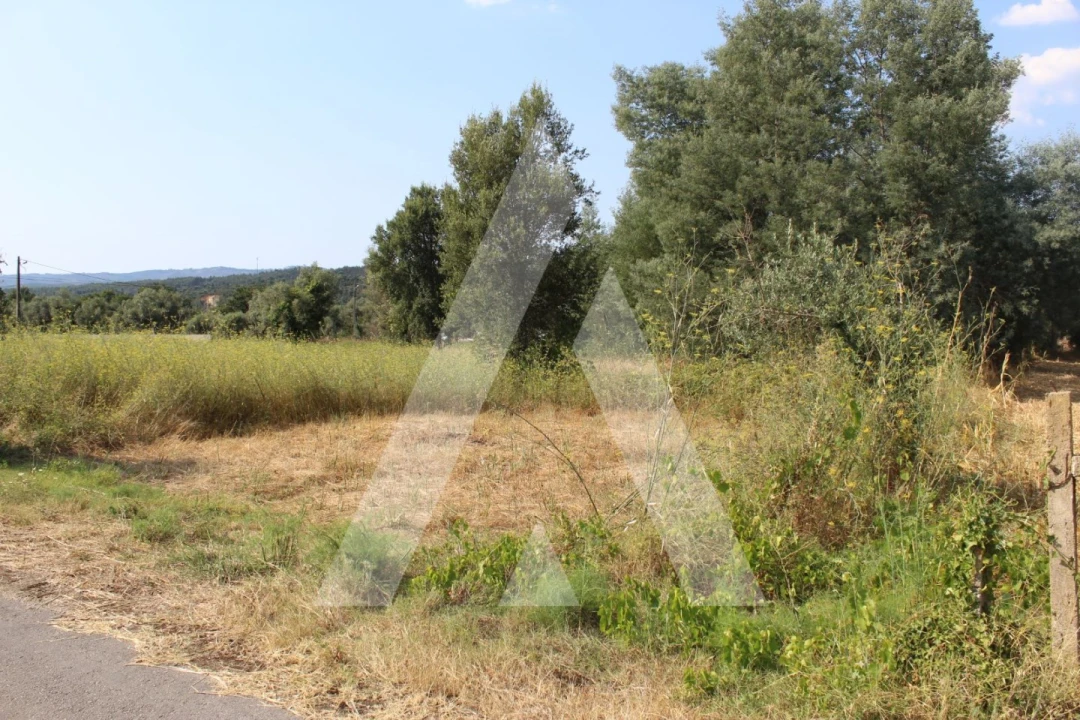 Terreno para Venda em Lousã e Vilarinho Foto 8