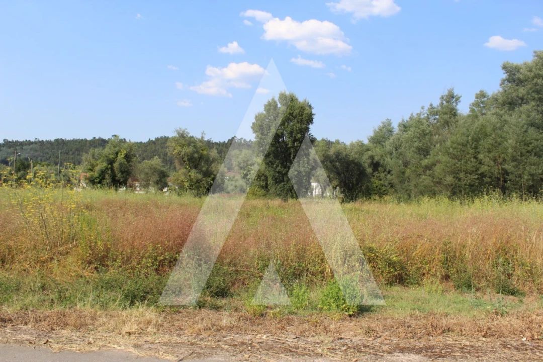 Terreno para Venda em Lousã e Vilarinho Foto 9