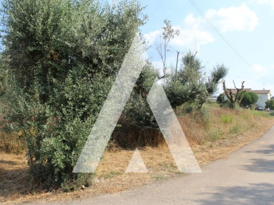 Terreno para Venda em Lousã e Vilarinho Foto 12