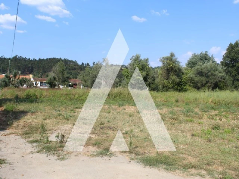 Terreno para Venda em Lousã e Vilarinho Foto 13