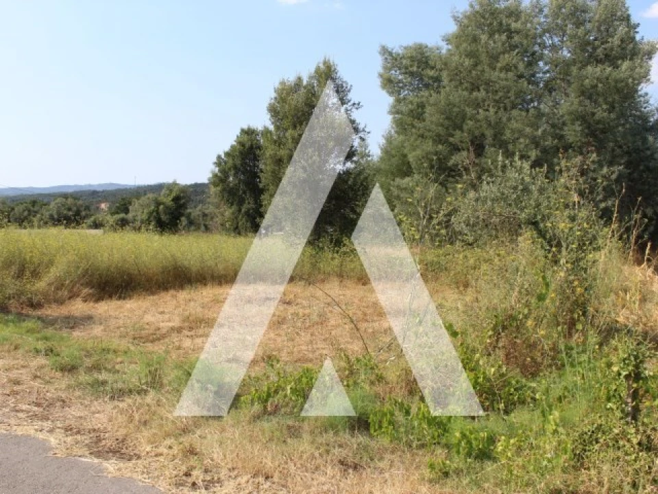 Terreno para Venda em Lousã e Vilarinho Foto 16