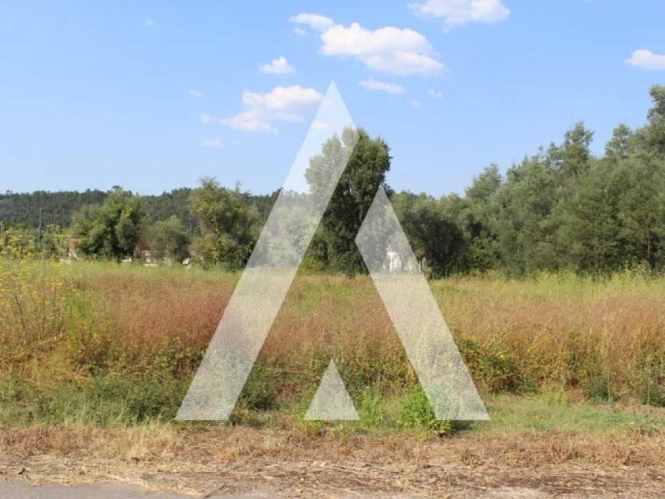 Terreno para Venda em Lousã e Vilarinho Foto 17